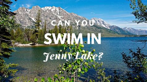 can you swim in jenny lake